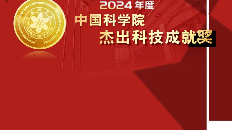 企业数字化转型的关键一步：成功咨询项目案例分析**